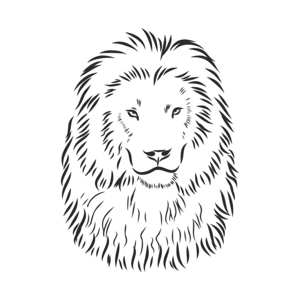 Leão Desenhado Mão Desenho Ilustração Vetorial —  Vetores de Stock
