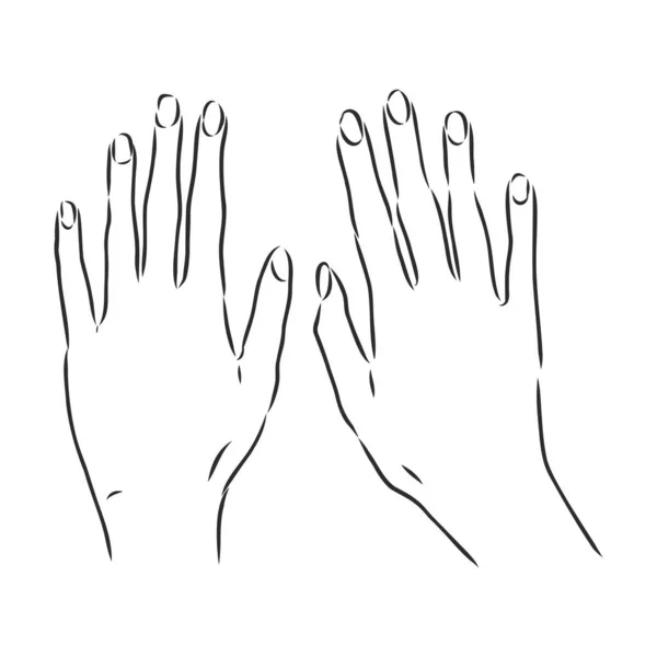 Izolovaná vektorová ilustrace. Elegantní ženská ruka. Ručně kreslený lineární náčrt. — Stockový vektor