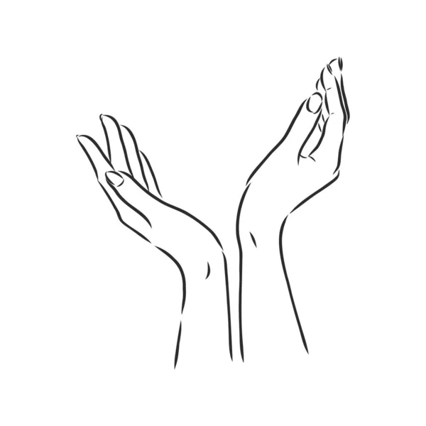 Isolerad vektorillustration. Elegant kvinnlig hand. Handritad linjär skiss. — Stock vektor