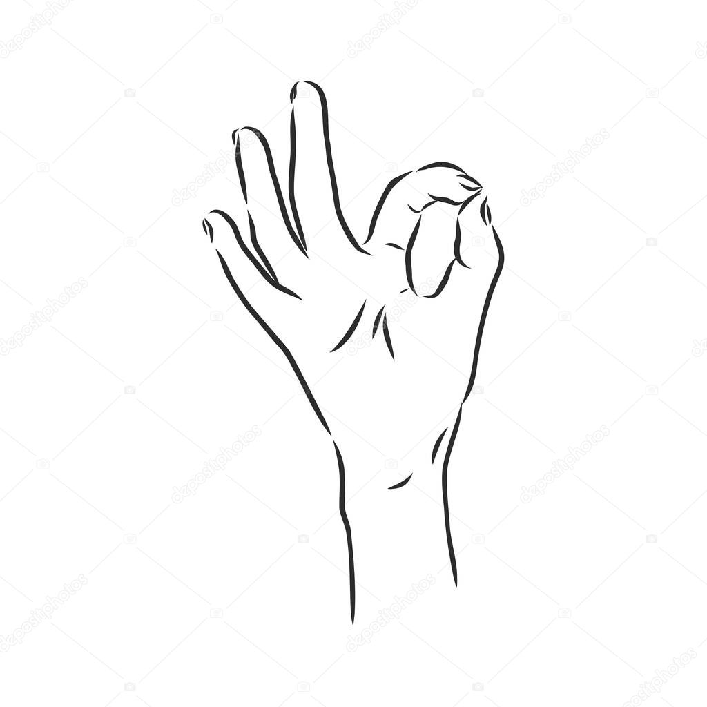Hand OK Sign Isolated on White Background. Sketch style. Clip art. Vector illustration