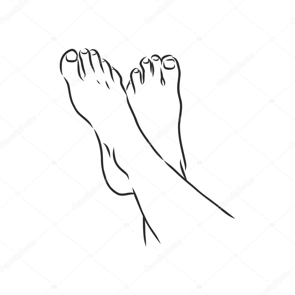 Human woman bared feet line drawing. Vector illustration