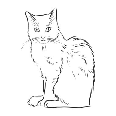 El çizimi kedi. Çizim kedisi, kedicik Üst Manzara