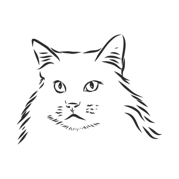 白い背景に猫の顔のデザインのベクトル ベクトルイラスト ペット — ストックベクタ