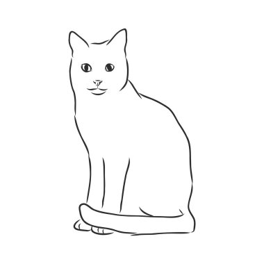 Beyaz arka planda izole bir kedi otururken vektör el çizimi