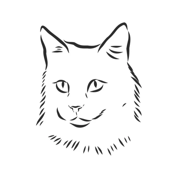 Vector Diseño Cara Gato Sobre Fondo Blanco Ilustración Vectorial Mascotas — Vector de stock