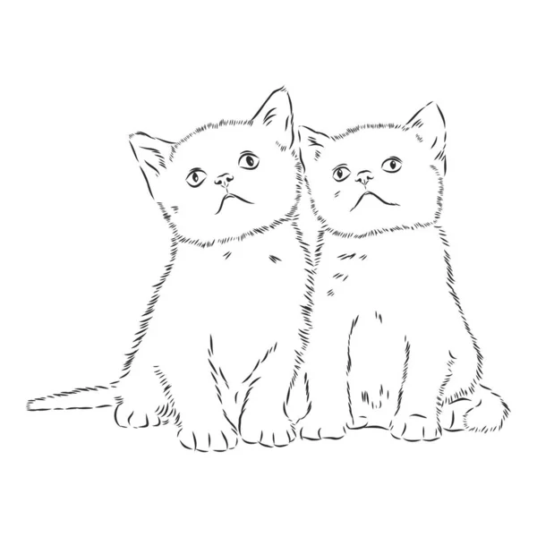 Kočka Ručně Kreslená Vektorová Ilustrace Izolovaná — Stockový vektor