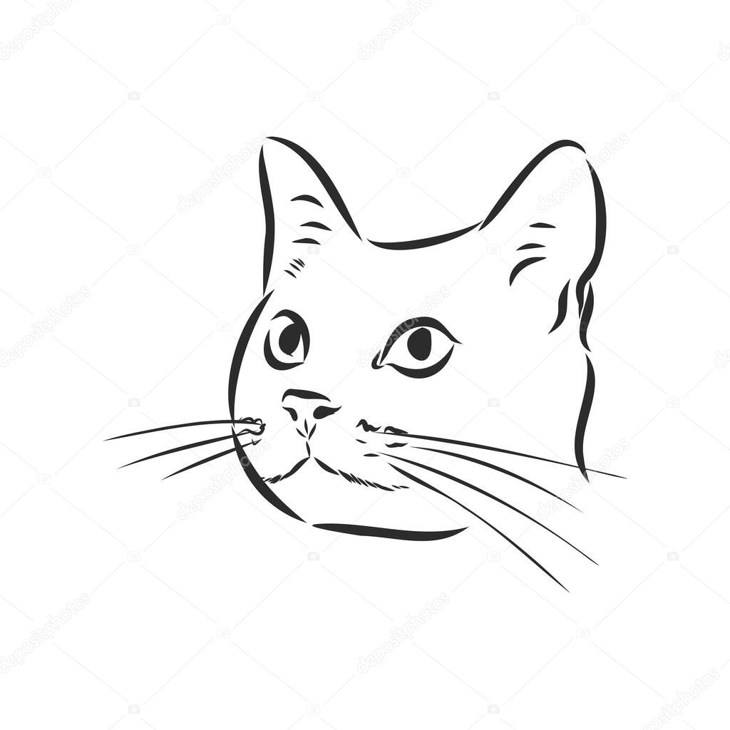 Vector of a cat face design on white background, Vector illustration. Pet
