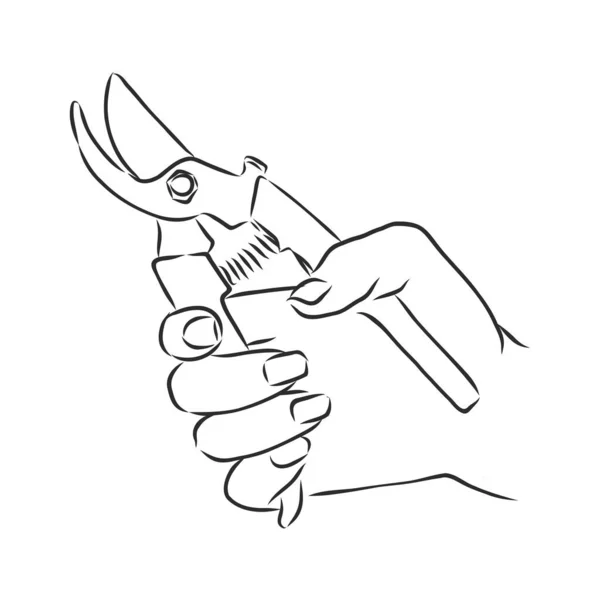 Vector Handgezeichnete Gartenschneider Umreißen Doodle Symbol Gartenschneider Skizziert Illustration Für — Stockvektor