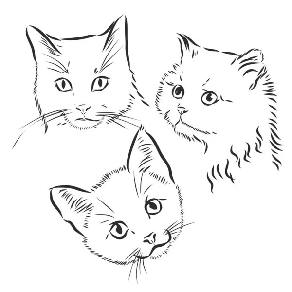 Lindos Gatos Ilustración Vectorial Blanco Negro — Archivo Imágenes Vectoriales