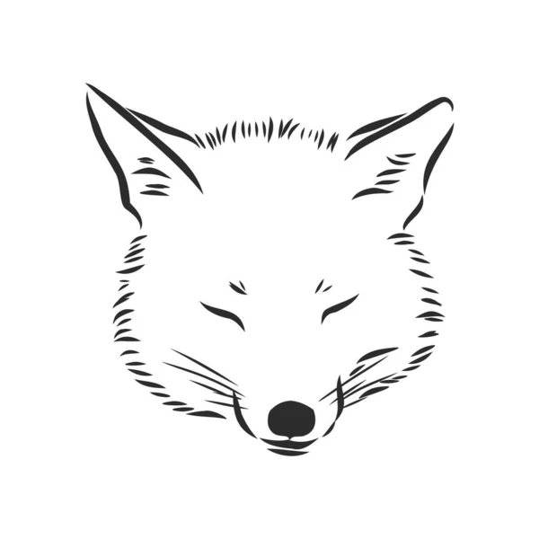 Fox Porträt Handgezeichnete Vektorillustration Kann Separat Von Ihrem Design Verwendet — Stockvektor