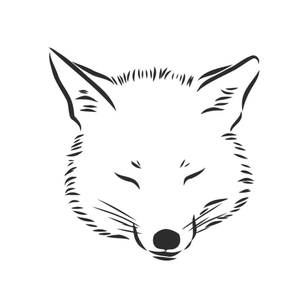 Fox Portrait Hand Drawn Vector Illustration Can Used Separately Your — Stock Vector