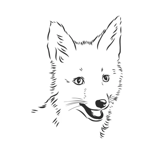 Fox Portrait Hand Drawn Vector Illustration Can Used Separately Your — Stock Vector