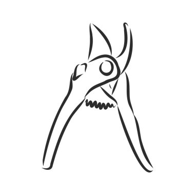 Beyaz arka plan, bahçe bakımı, peyzaj ve hobi konsepti, çizim tarzı, çizgi sanatı üzerine izole edilmiş budama aletleri ve çatal bıçakların vektör çizimi.