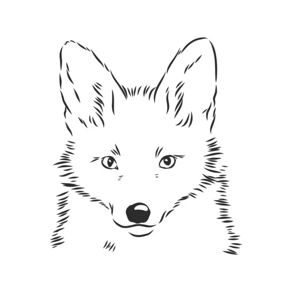 Fox Portrait Hand Drawn Vector Illustration Can Used Separately Your — Stock Vector