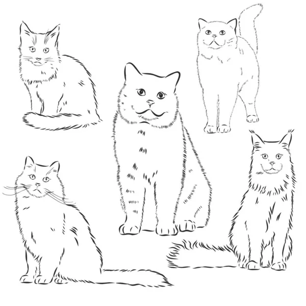 Vecteurs Pour Icone Symbole Chat Assis Illustrations Libres De Droits Pour Icone Symbole Chat Assis Page 17 Depositphotos Vecteurs Pour Icone Symbole Chat Assis Illustrations Libres De Droits Pour Icone Symbole Chat Assis Page 17 Depositphotos