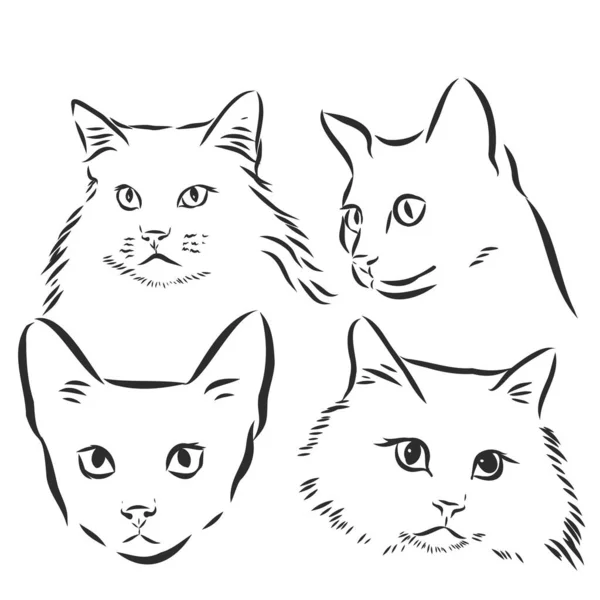 Cute Cats Vector Illustration Black White — Stock Vector