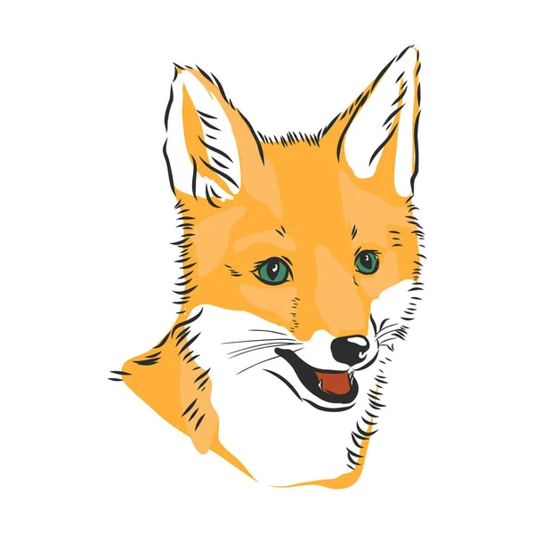 Retrato Fox Ilustração Vetorial Desenhada Mão Pode Ser Usado Separadamente — Vetor de Stock