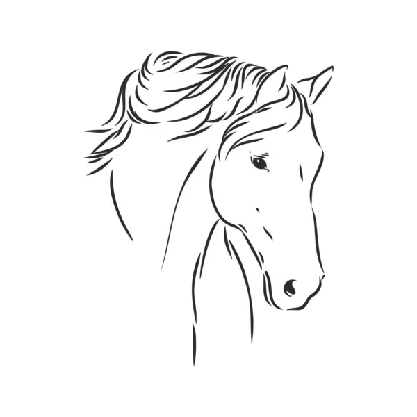 幸せな馬の肖像ベクトル図馬の肖像画馬の頭ベクトル — ストックベクタ