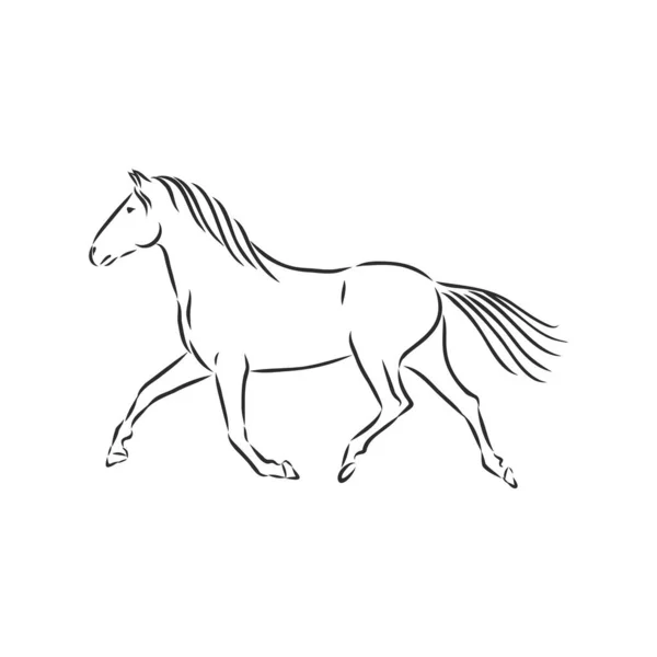 Běžící Vektorová Ilustrace Koně Černobílý Obrys — Stockový vektor