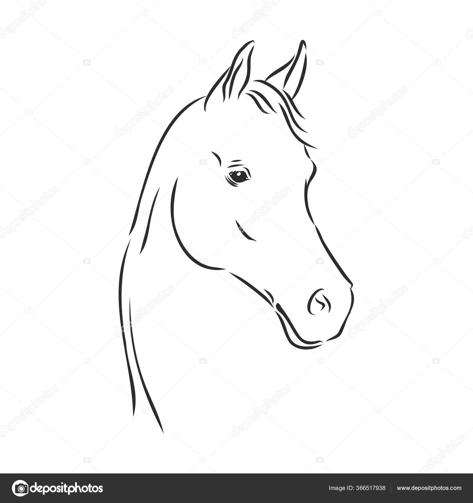 Retrato De Cavalo Feliz Sorrindo Rosto De Fazenda Vetor PNG