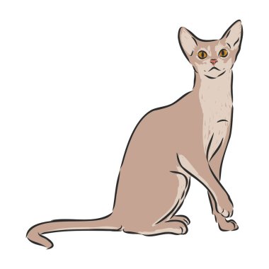 Beyaz arka planda izole bir kedi otururken vektör el çizimi