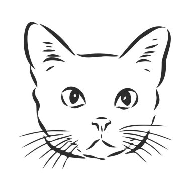 Beyaz arkaplanda kedi yüz tasarımı vektörü, Vektör illüstrasyonu. Evcil hayvan