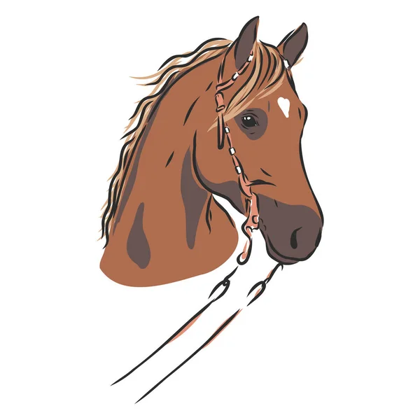 Ευτυχής Απεικόνιση Φορέα Πορτρέτο Άλογο Πορτρέτο Άλογο Κεφάλι Άλογο Διάνυσμα — Διανυσματικό Αρχείο