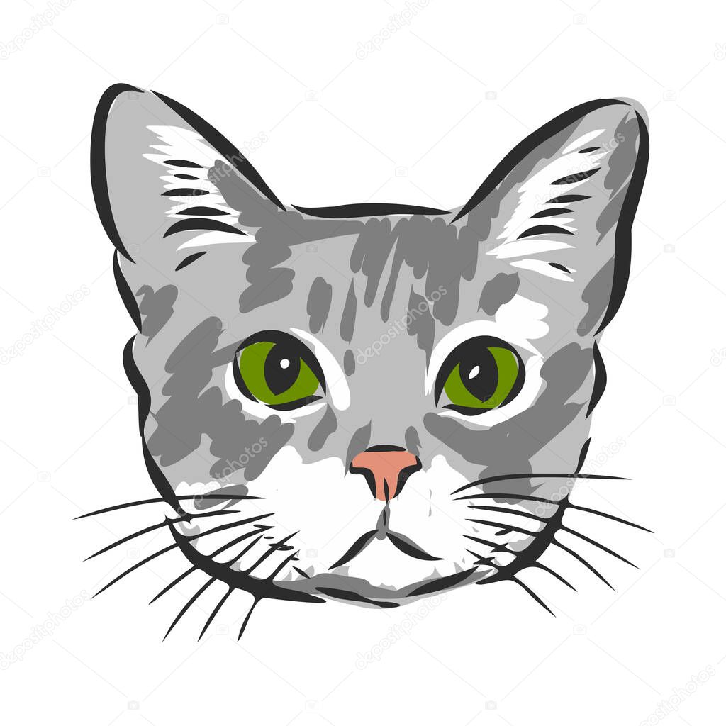 Vector of a cat face design on white background, Vector illustration. Pet