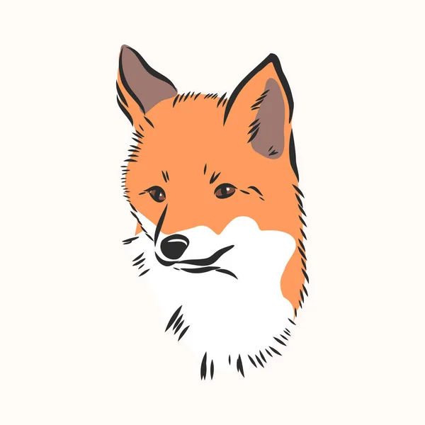 Retrato Fox Ilustração Vetorial Desenhada Mão Pode Ser Usado Separadamente —  Vetores de Stock