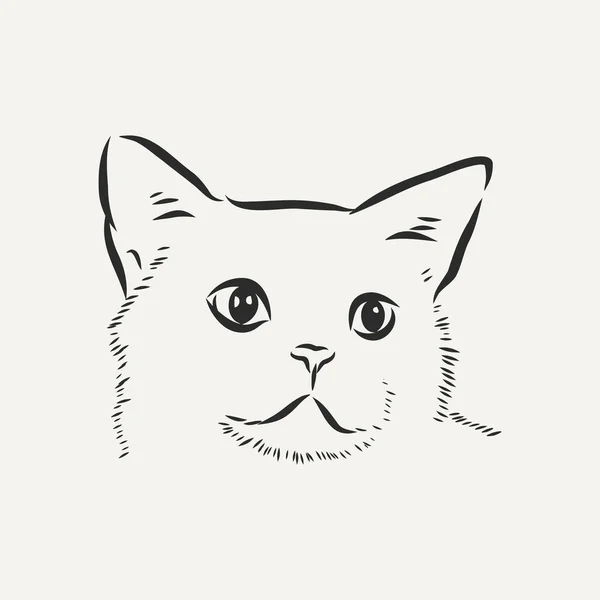 Vector Handgezeichnete Skizze Sitzende Katze Isoliert Auf Weißem Hintergrund — Stockvektor
