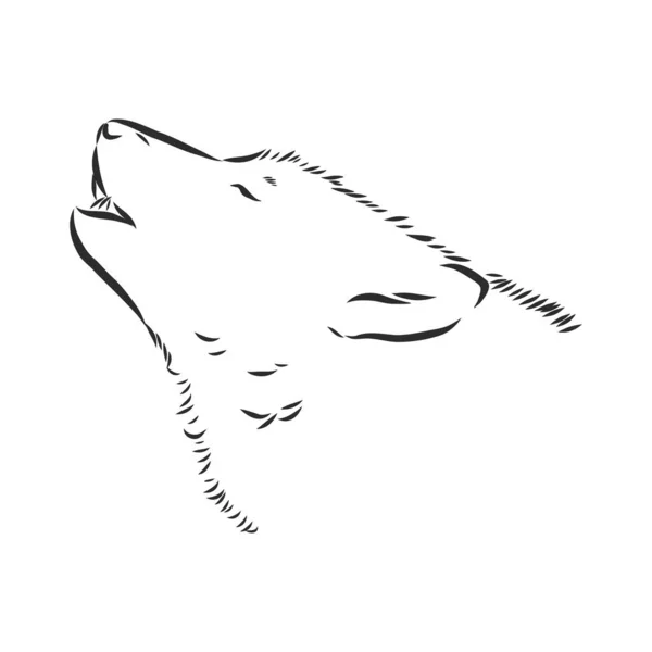 Vecteur Tête Loup Hurlements Loup Tête Loup Croquis Vectoriel — Image vectorielle