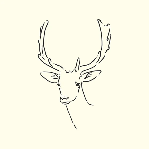 Portrait Cerf Illustration Vectorielle Dessinée Main Peut Être Utilisé Séparément — Image vectorielle