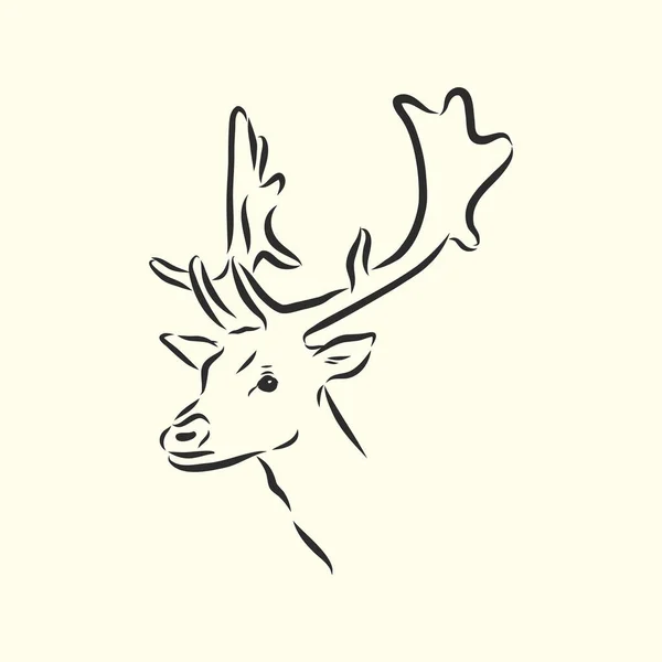 Deer Portrait Hand Drawn Vector Illustration Can Used Separately Your — Stock Vector