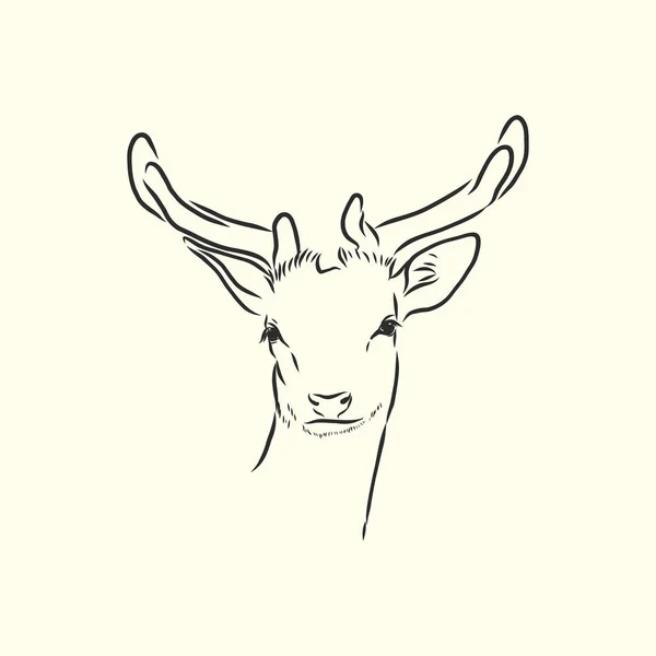 Portrait Cerf Illustration Vectorielle Dessinée Main Peut Être Utilisé Séparément — Image vectorielle