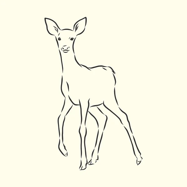 若い鹿のベクトルのシルエット ファンベクトルスケッチ — ストックベクタ
