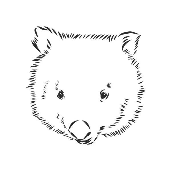 Ilustratuin Com Esboço Wombat Isolado Fundo Branco —  Vetores de Stock