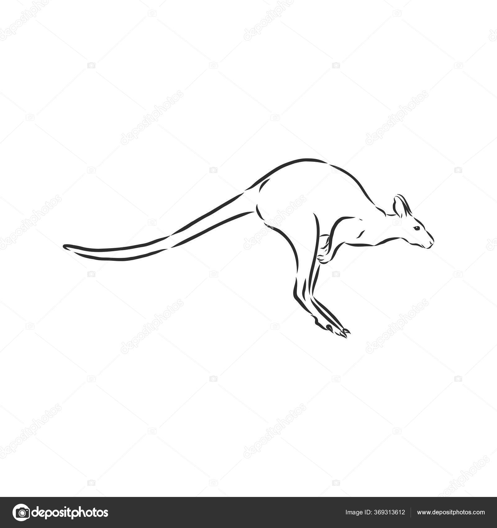 カンガルーのホッピングストックベクター ロイヤリティフリーカンガルーのホッピングイラスト Depositphotos カンガルーのホッピングストックベクター ロイヤリティフリーカンガルーのホッピングイラスト Depositphotos