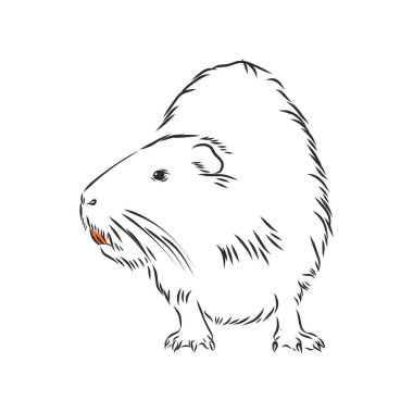 nutria black and white painted with shadow clipart