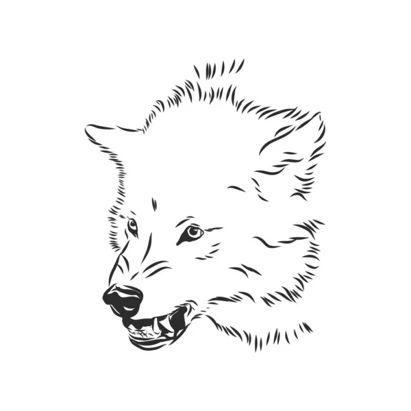 Lobo gruñendo enojado, lobo gruñendo enojado, cabeza de lobo, ilustración de boceto vectorial — Archivo Imágenes Vectoriales