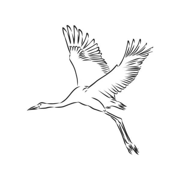 crane bird icon, bird crane vector sketch illustration