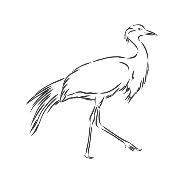 Ícone Pássaro Guindaste Ilustração Esboço Vetor Guindaste Pássaro —  Vetores de Stock