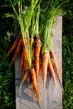 Tahtanın üst kısmında yeşil tepeli organik havuçlar var.