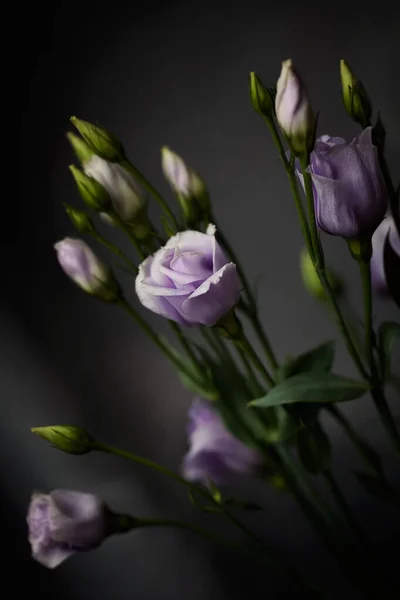 Beautiful elegant flowers bouquet with fresh blooming violet purple Lisianthus Eustoma close-up on natural blurred background.Selective focus,vertical orientation.Nature concept.Floral greeting card