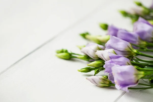 Violett Blå Rosa Färsk Blommande Blomknoppar Eustoma Lisianthus Med Knoppar — Stockfoto