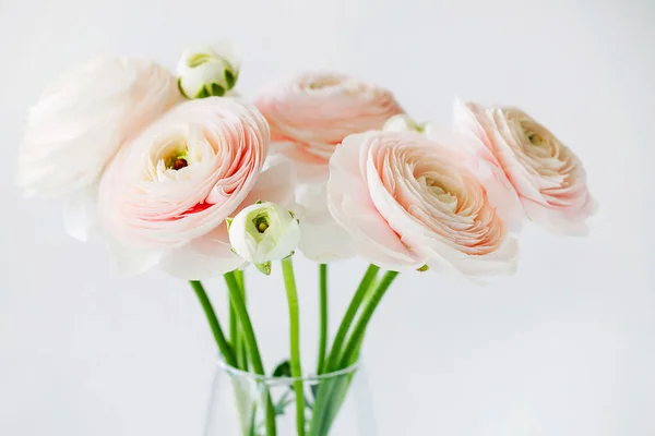 Beautiful tender blossoming of fresh cut bouquet of Ranunculus asiaticus or Persian buttercup in glass vase close-up on white background.Floral composition for romantic gift.Horizontal orientation