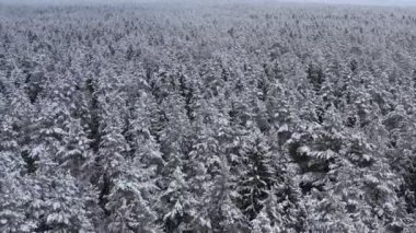 Bulutlu havada güzel kış manzarası.