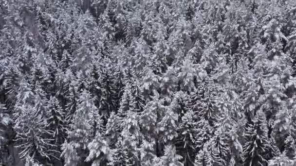 Hermoso paisaje de invierno en clima nublado . — Vídeos de Stock