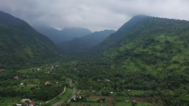 Kırsal Asya'da ormanlık dağlarla çevrili vadideki pirinç tarlaları — Stok video