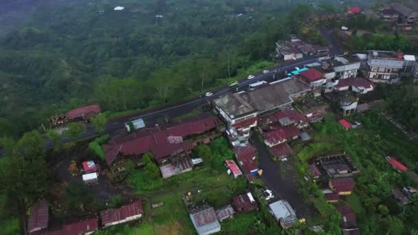 Luchtfoto van drone bird eye view rijstteelt in Azië landbouw in de buurt van de evenaar rijp seizoensgebonden gewas — Stockvideo