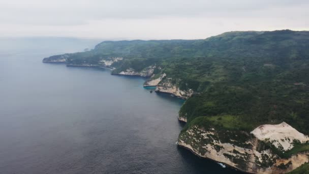 Ovanifrån drönaren på magnifik klippa på havskusten täckt med grönska och vegetation. — Stockvideo